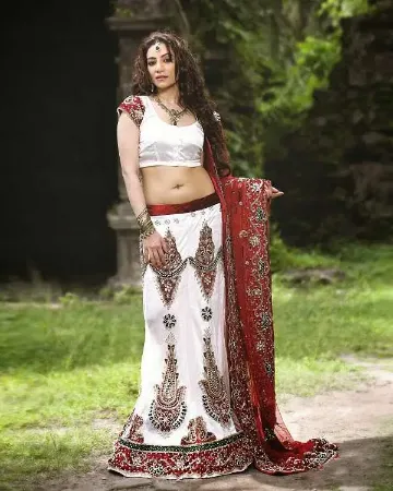 https://radhedesigner.com/images/thumbs/000/0006120_indian-designer-saree-wedding-party-wear-pakistani-leh_450.webp