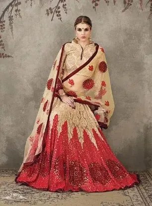 Picture of indian dress saree party sari lehenga pakistani designe