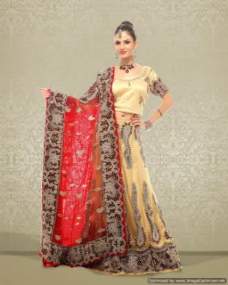 Picture of indian ethnic designer lehengapakistani bollywood lehe,