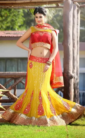 Picture of indian fashion net synthetic georgette embroidered semi