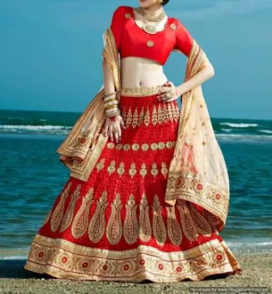 Picture of indian lehenga bollywood wedding party wear bridal paki