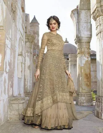 https://radhedesigner.com/images/thumbs/000/0006280_indian-lehenga-choli-designs-wedding-wear-bollywood-ve_450.webp