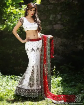 Picture of indian lehenga choli ethnic bollywood wedding bridal p,