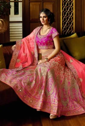 Picture of indian lehenga choli ethnic pakistani bollywood weddin,