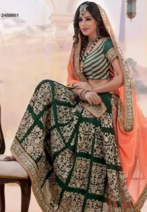 Picture of indian pakistani bollywood designer saree blouse weddin