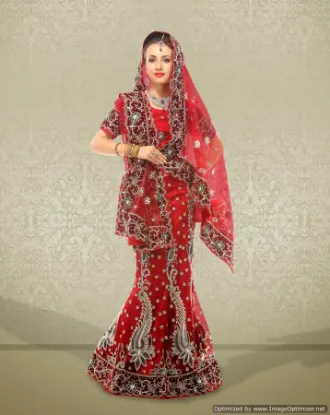 Picture of indian pakistani bollywood designer saree wedding part,