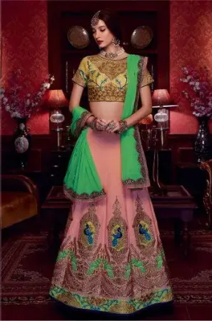 https://radhedesigner.com/images/thumbs/000/0006387_indian-pakistani-bridal-lehenga-ethnic-designer-lehenga_450.webp