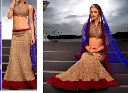 https://radhedesigner.com/images/thumbs/000/0006398_indian-pakistani-bridal-lehenga-ethnic-designer-lehenga_450.webp