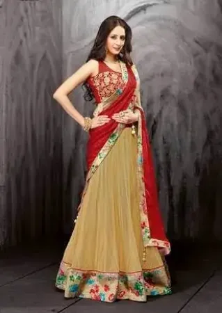 https://radhedesigner.com/images/thumbs/000/0006401_indian-pakistani-bridal-lehenga-ethnic-designer-lehenga_450.webp