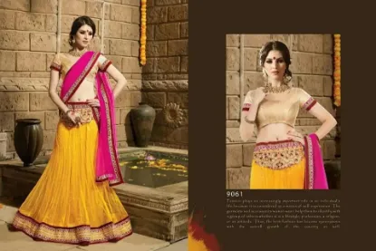 Picture of indian pakistani designer lehenga bridal lehenga choli,