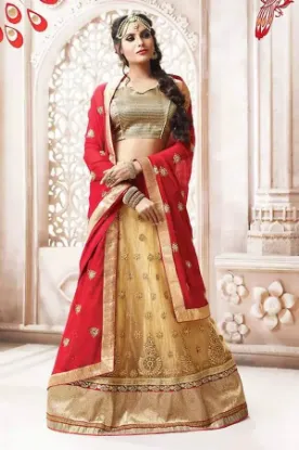 Picture of indian sari dress lehenga party women pakistani bollyw,