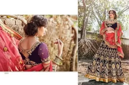 https://radhedesigner.com/images/thumbs/000/0006508_indian-sari-party-wear-designer-lehenga-saree-ethnic-w_450.webp