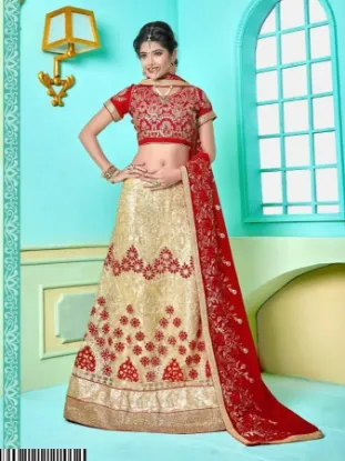 Picture of indian wedding bridal designer lehenga pakistani choli 