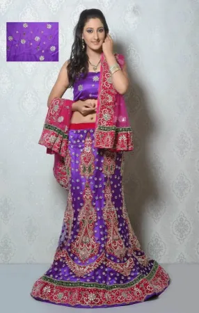 Picture for category net lehenga