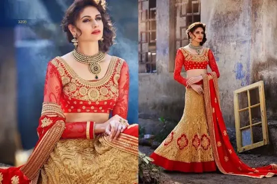 Picture of indian wedding partywear designer lehenga velvet pakis,