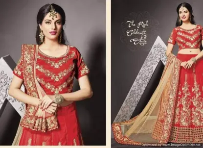 Picture of indian wedding women lehenga choli pakistani party des,