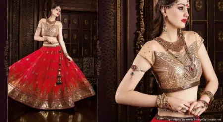 https://radhedesigner.com/images/thumbs/000/0006620_indian-women-dress-bollywood-lehenga-party-sari-wedding_450.webp