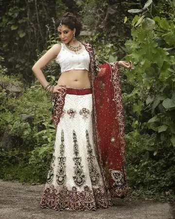 https://radhedesigner.com/images/thumbs/000/0006647_indian-women-wedding-lehenga-choli-semi-stitched-festi_450.webp