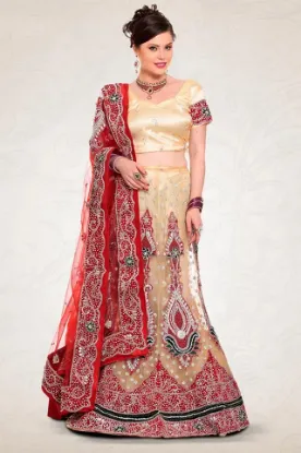 Picture of indiandesignerlehengapakistanibridallehengacholiwedding