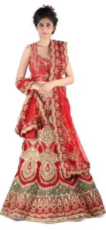 https://radhedesigner.com/images/thumbs/000/0006658_indianpakistanibollywood-bridal-net-and-viscous-easy-to_450.webp