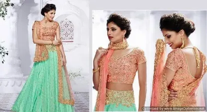 Picture of jabong party wear lehenga,velvet lehenga pakistanichani