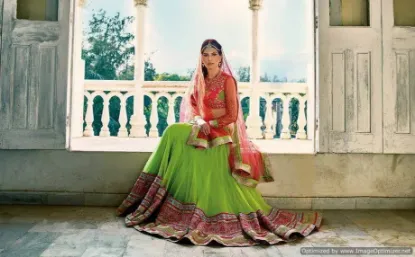 Picture of kalazone silk mills lehengachaniya choli,choli,lehenga,