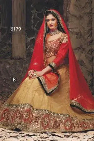 https://radhedesigner.com/images/thumbs/000/0006693_latest-designer-party-wedding-indian-pakistani-lehenga_450.webp