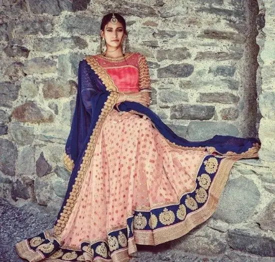 Picture of latest raw silk lehenga designschaniya choli,choli,lehe