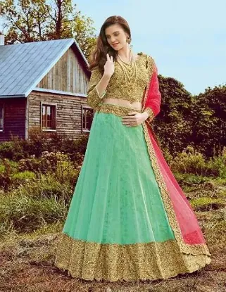 Picture of latest velvet lehenga choli designs,ghagra choli image,