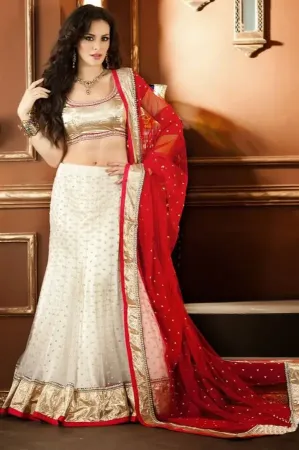 https://radhedesigner.com/images/thumbs/000/0006871_lehenga-choli-indian-gujrati-rajasthani-women-handmade_450.webp