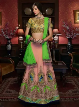 Picture of lehenga choli indian traditional wedding bollywood part