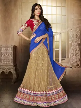 Picture of lehenga choli uk,lehenga modernchaniya choli,choli,lehe