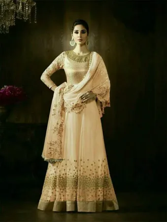 https://radhedesigner.com/images/thumbs/000/0006974_lehenga-choli-wedding-party-wear-traditional-ethnic-ind_450.webp