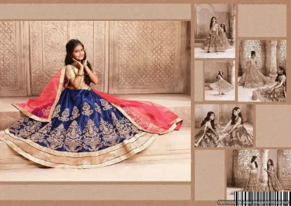 Picture of lehenga dress 2024,crop top and lehengachaniya choli,ch