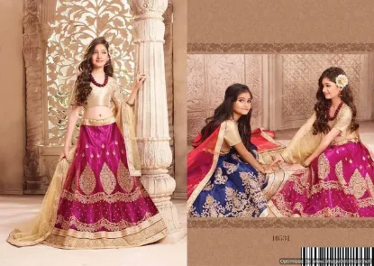 Picture of lehenga dress 2024,lehenga n jacketchaniya choli,choli,