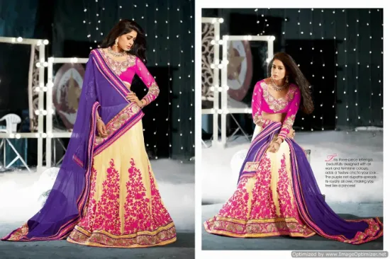 Picture of lehenga dress download,cbazaar bridal lehengaschaniya c