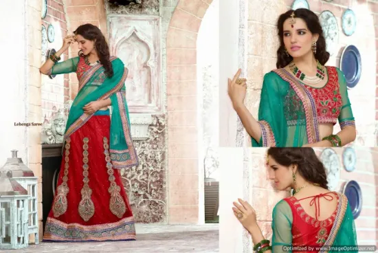 Picture of lehenga dress meaning,lehenga in delhichaniya choli,cho