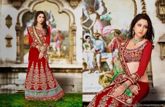 Picture of lehenga dress photos,natasha j lehengachaniya choli,cho