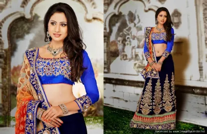 Picture of lehenga dress pictures,lehenga kurtachaniya choli,choli