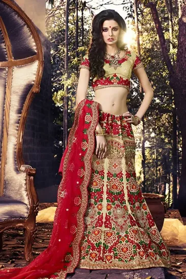 Picture of lehenga ethnic designer pakistani sari indian women dre