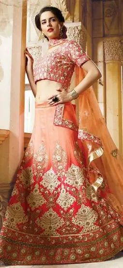 Picture of lehenga hindi meaning,ghagra choli 2024chaniya choli,c,