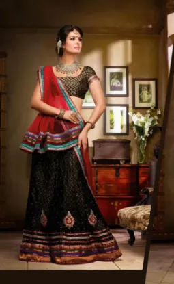 Picture of lehenga hindi meaning,ghagra choli 2024chaniya choli,ch