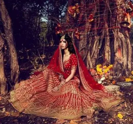 https://radhedesigner.com/images/thumbs/000/0007096_lehenga-indian-dress-sari-saree-bollywood-women-designe_450.webp