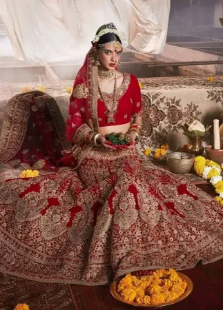 https://radhedesigner.com/images/thumbs/000/0007128_lehenga-pakistani-dress-indian-saree-bollywood-wear-des_450.webp