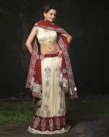 https://radhedesigner.com/images/thumbs/000/0007217_lehenga-trousseau-lehengas-choli-blouse-indian-designe_450.webp