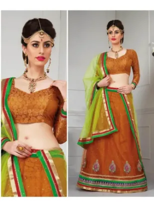 Picture of lehenga type dress,lehenga latest designs 2024chaniya c