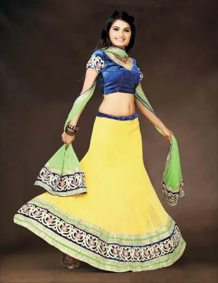 Picture of lehenga with velvet border,ghagra choli near mechaniya 