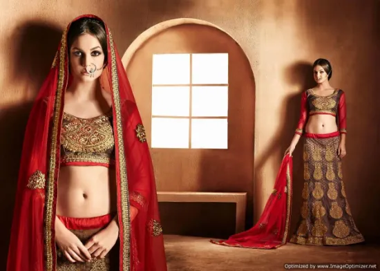 Picture of lengha choli at snapdeal,lehenga buychaniya choli,choli