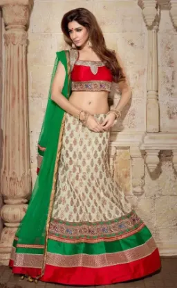 Picture of lengha choli jaipur,lehenga greenchaniya choli,choli,le