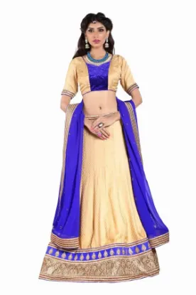 Picture of light beige net lehenga kameez with dupatta,lehenga xxl